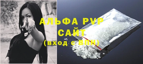 ECSTASY Богданович