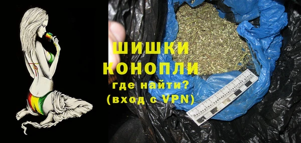 ECSTASY Богданович