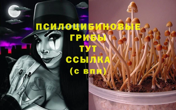 каннабис Богородск