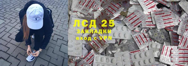 ECSTASY Богданович