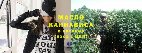 ECSTASY Богданович