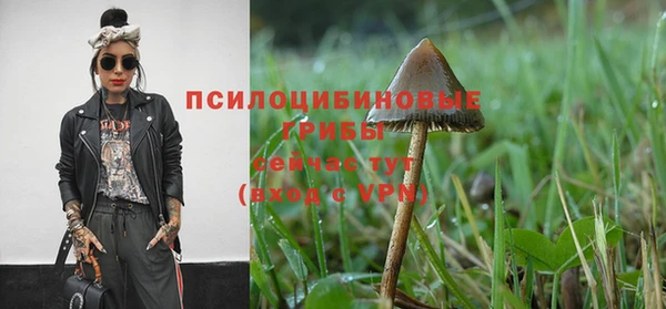 ECSTASY Богданович